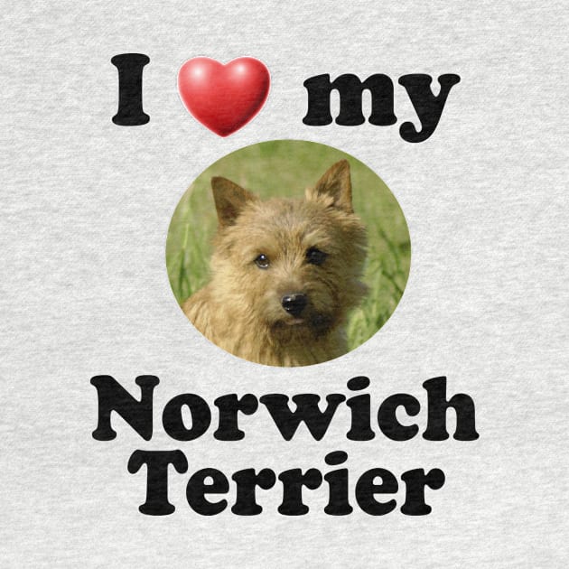 I Love My Norwich Terrier by Naves